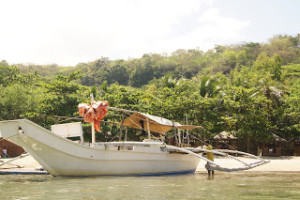 Resort's own banca (P1,200 fee round-trip)